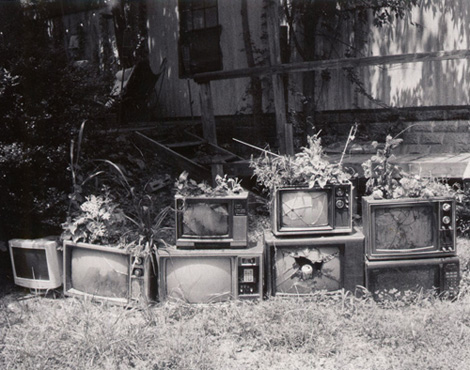 Televisores